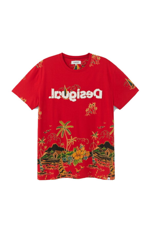 zanaga desigual desigual smtk