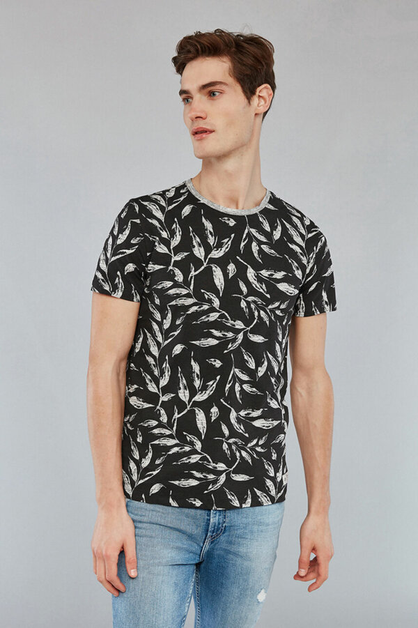 zanaga teddy smith teddy virgil charbon