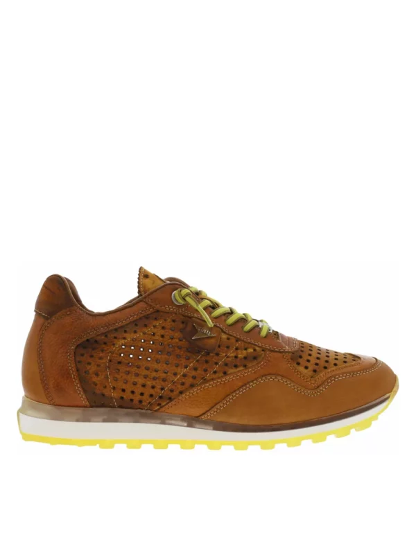 zanaga cetti cetti baskets en cuir perfore marron a semelle running crantee et a lacets elastiques